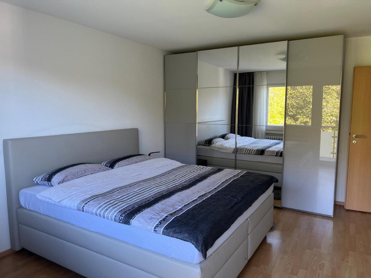 Deluxe Apartment بادن بادن المظهر الخارجي الصورة