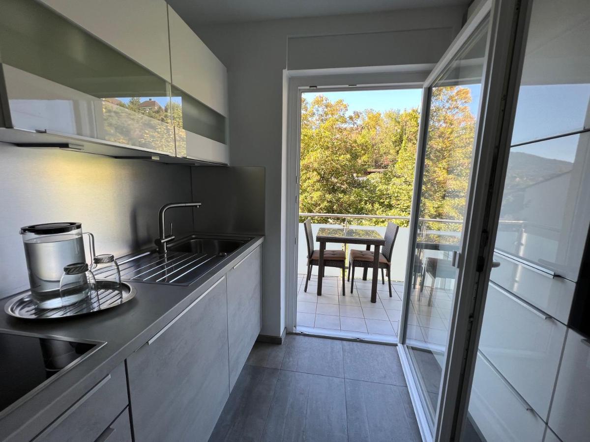 Deluxe Apartment بادن بادن المظهر الخارجي الصورة