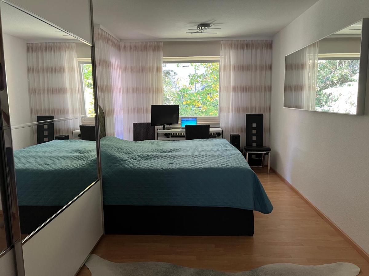 Deluxe Apartment بادن بادن المظهر الخارجي الصورة