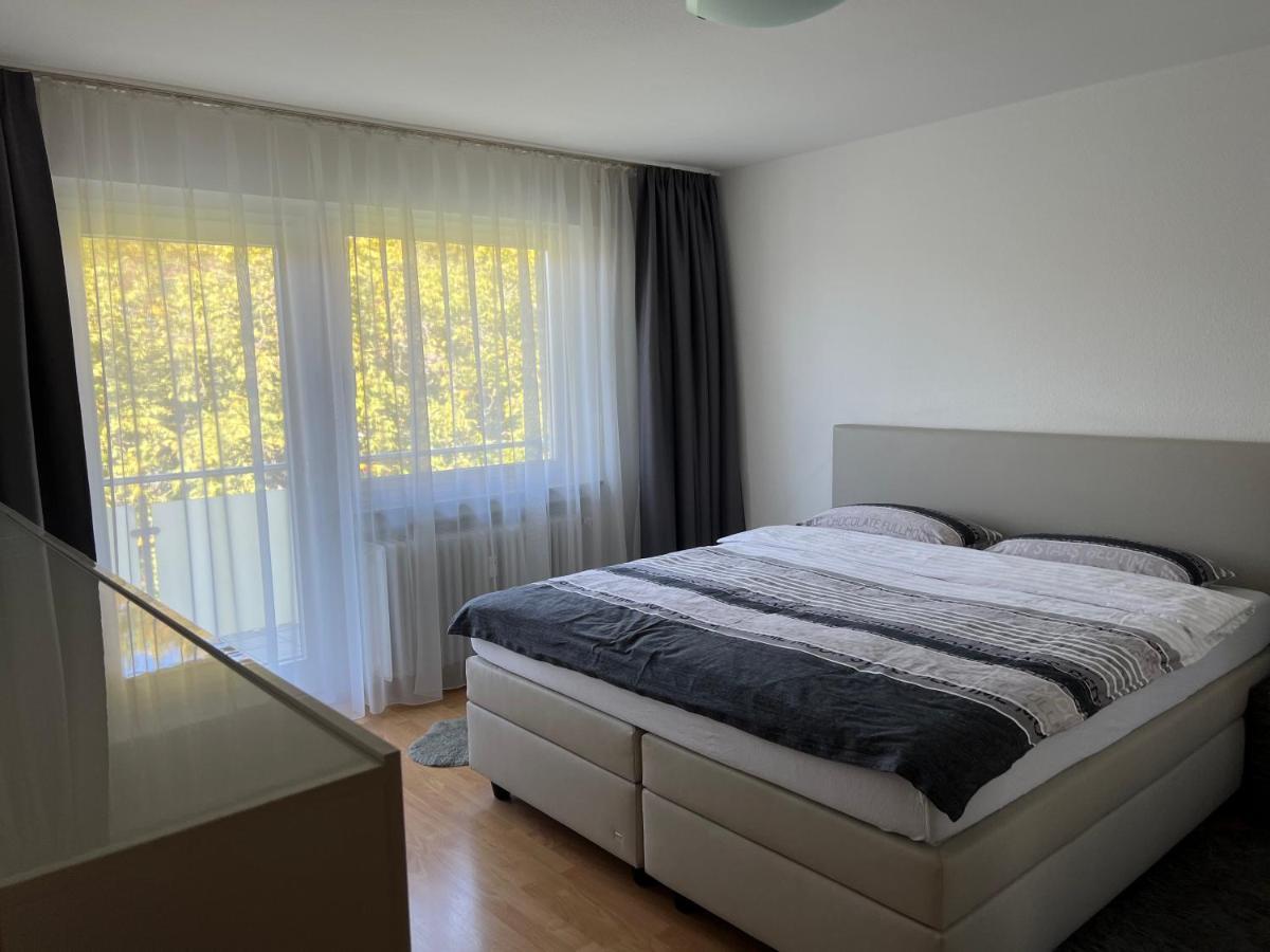 Deluxe Apartment بادن بادن المظهر الخارجي الصورة