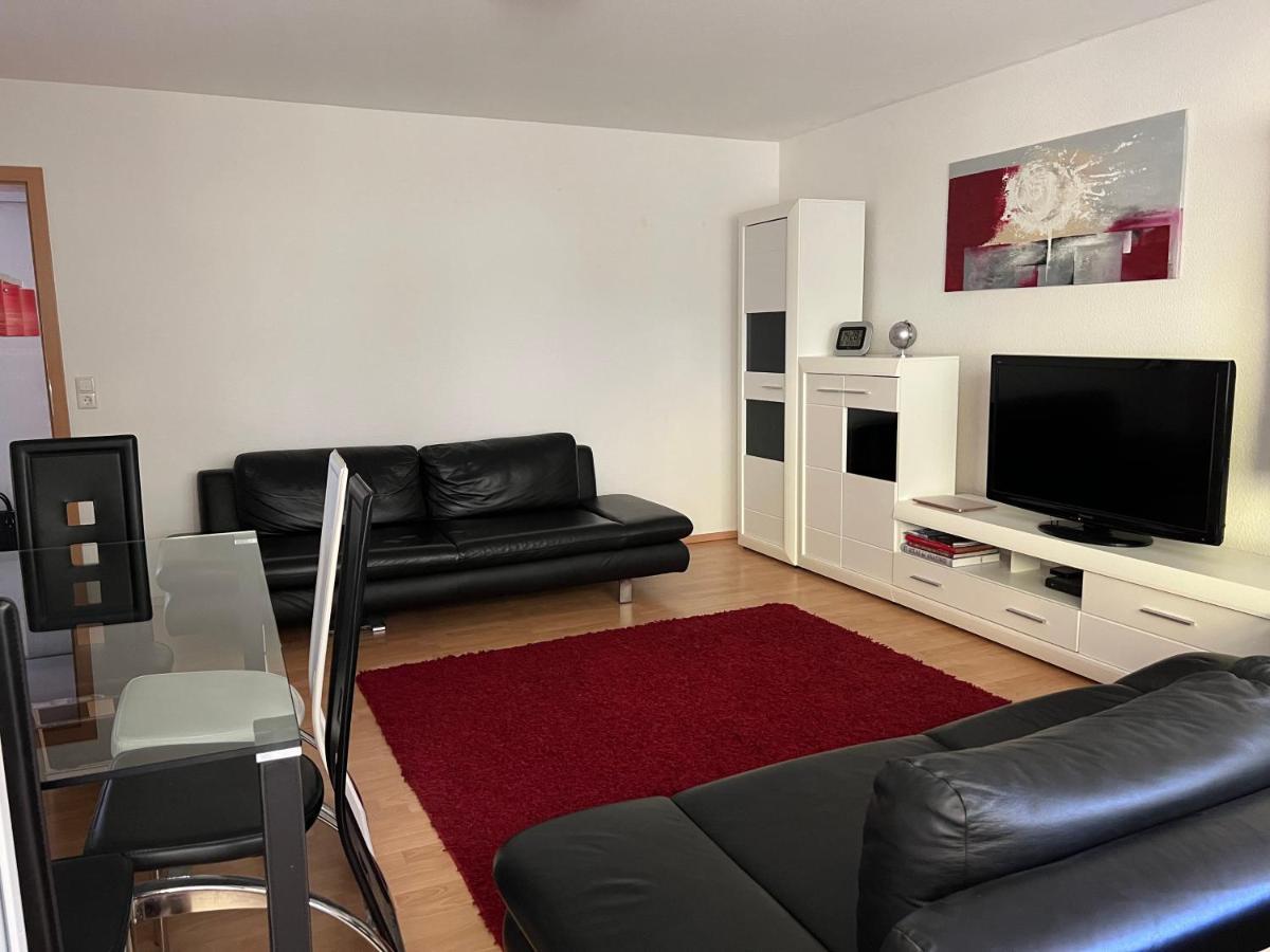 Deluxe Apartment بادن بادن المظهر الخارجي الصورة