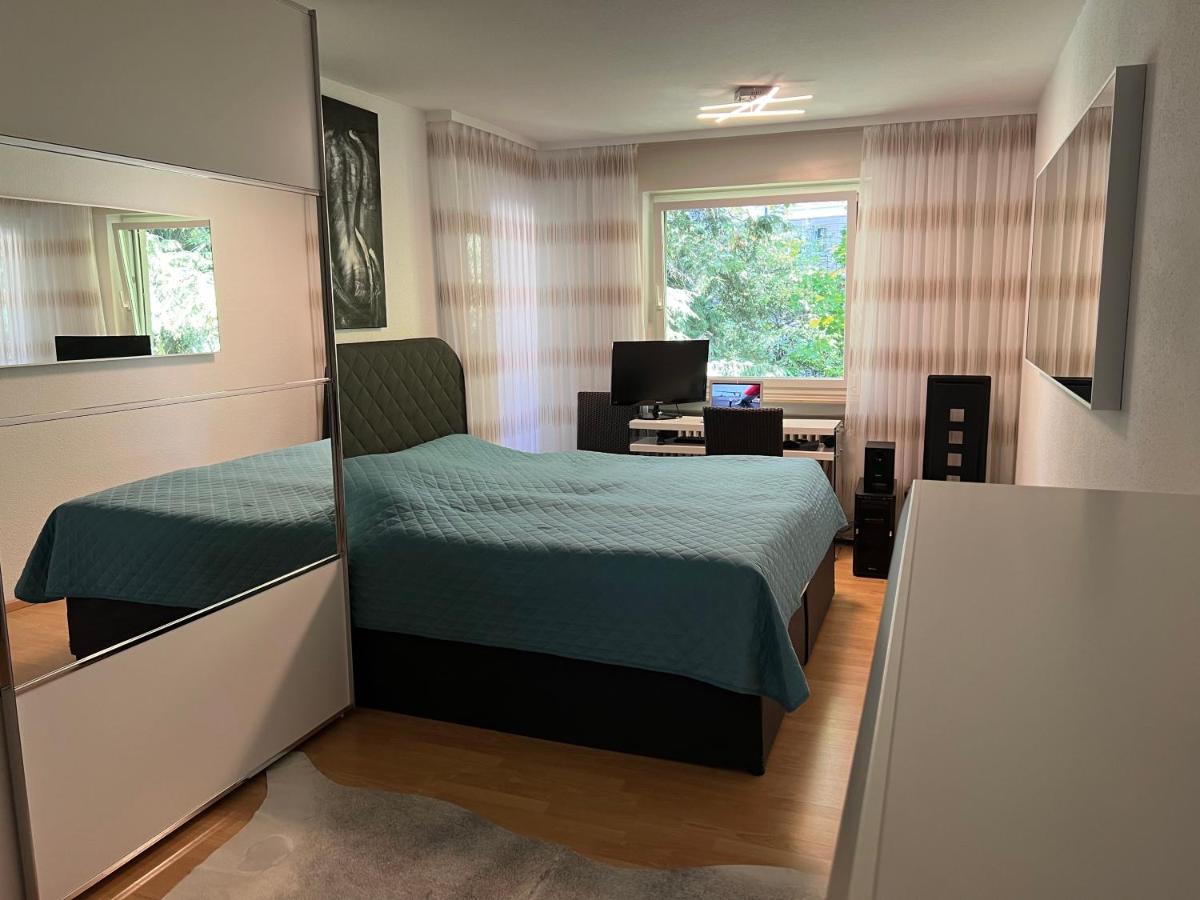 Deluxe Apartment بادن بادن المظهر الخارجي الصورة